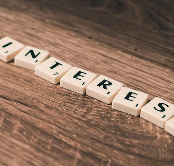 expert campaigns for success